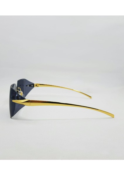 Kathy Smoked-Gold Unısex Güneş Gözlüğü 55-19-120 modelleri