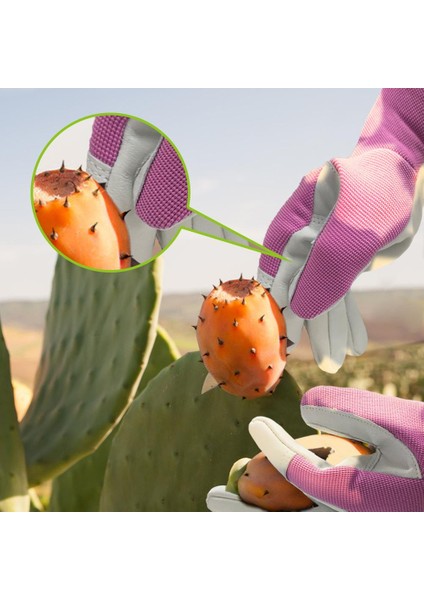 Pembe Tarzı L Boyutu Kadın Deri Bahçe Eldiveni Gül Budama Çapa Yabani Otları Temizleme Bahçe Kazma Işleri Için Uygun (Yurt Dışından)