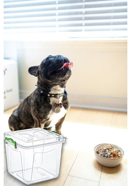 2 Adet 8 Litre 3'lü Kürek Kedi Köpek Kuru Mama Kum Saklama Kabı Kutusu Seti