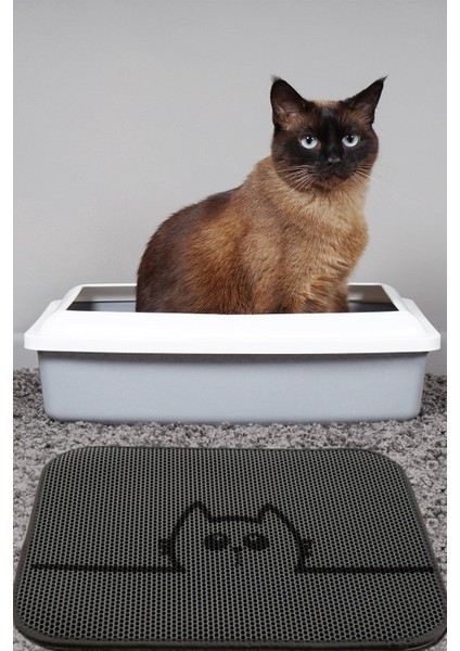 Hide Kedi Kumu Paspası Gri Elekli Tuvalet Önü Paspası 45x60