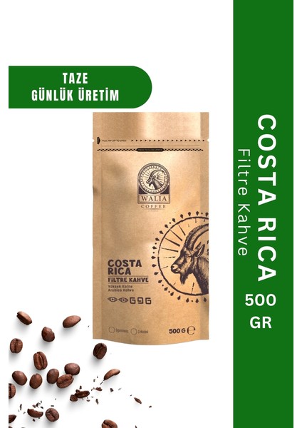 Costa Rıca 500 G Taze Filtre Kahve Arabica