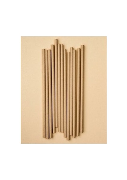 Kağıt Sargılı Kraft Kağıt Pipet 20CM 100 Adet fiyatları