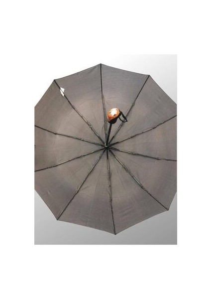 Snowier Full Otomatik Erkek Şemsiye indirimleri