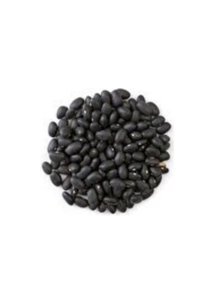 Nadir Ithal Amerika Siyah Fasulye Tohumu 10 Tohum Kara Fasulye