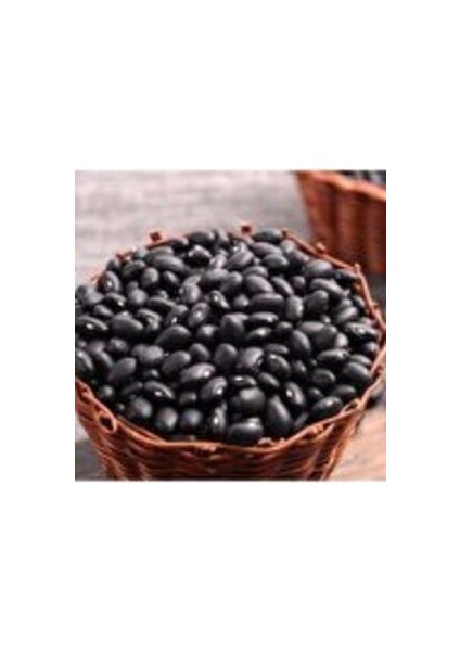 Nadir Ithal Amerika Siyah Fasulye Tohumu 10 Tohum Kara Fasulye modelleri