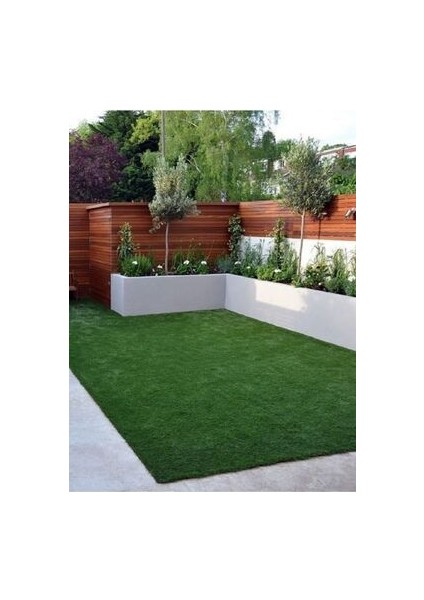 Çim Tohumu Ithal 6li Karışım Starex Grass Seed 6-M Mix 1 kg Dayanıklı Tamir Çimi modelleri