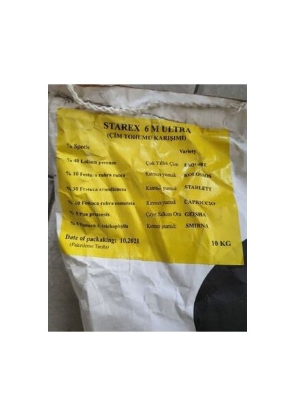 Çim Tohumu Ithal 6li Karışım Starex Grass Seed 6-M Mix 1 kg Dayanıklı Tamir Çimi fırsatları