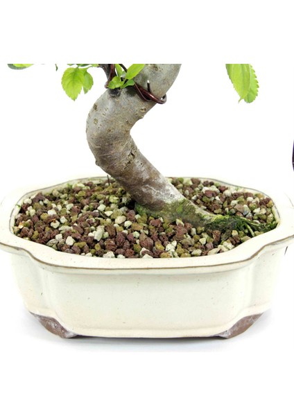 Akadamalı Süper Karışım Bonsai Toprağı TK01 (10 Litre)