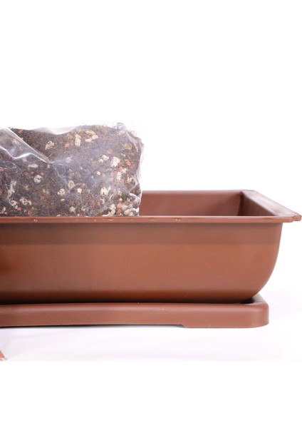 Bonsai Kurtarma ve Saksı Değişimi Kiti No.1 - Kahverengi
