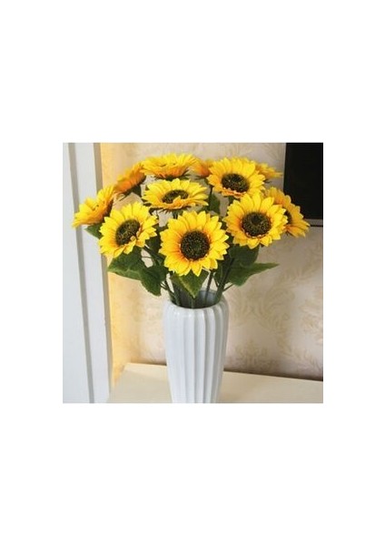 Süs Ayçiçeği Tohumu Çiçek Tohumu Yetiştirme Kiti fiyatları