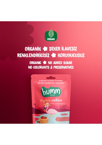 Organik Vegan Çilekli Kurabiye Atıştırmalık Paketi - 12 Adet