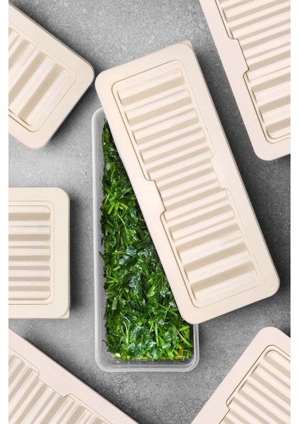 6'lı Set Freshbox Mikrodalga ve Difrize Uygun Saklama Kabı Set Krem