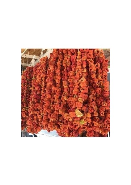 Dolmalık Tatlı Biber Kurusu 45-50 Adet