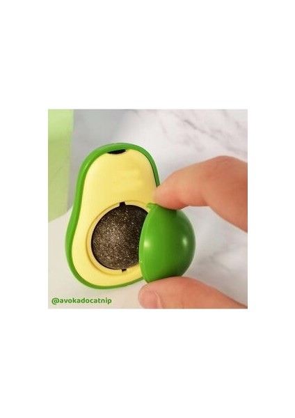 Avokado Catnip Avokado Kedi Çimi Topu Avokado Kedi Nanesi Oyuncağı indirimleri