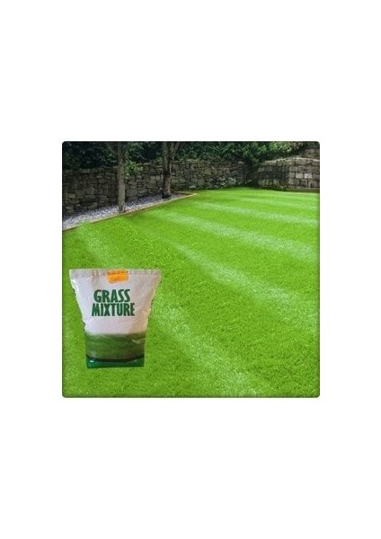 6 Farklı Çim Tohumu Karışımı(Galaxy) Grassmixture (10 Kg) fiyatları