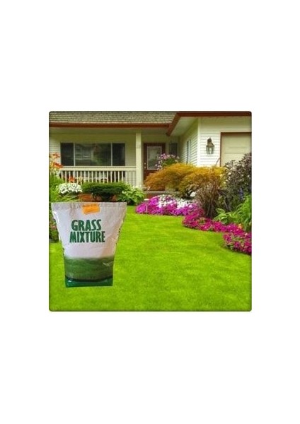 6 Farklı Çim Tohumu Karışımı(Galaxy) Grassmixture (10 Kg) modelleri
