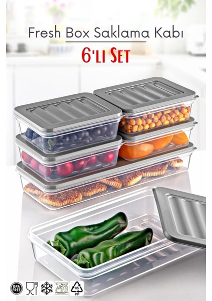 6 Lı Set Freshbox Mikrodalga ve Difrize Uygun Saklama Kabı Set Gri