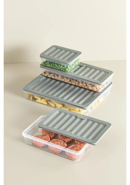 6 Lı Set Freshbox Mikrodalga ve Difrize Uygun Saklama Kabı Set Gri