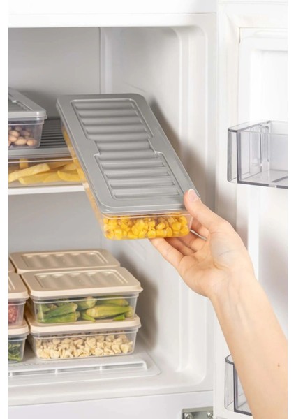 6 Lı Set Freshbox Mikrodalga ve Difrize Uygun Saklama Kabı Set Gri