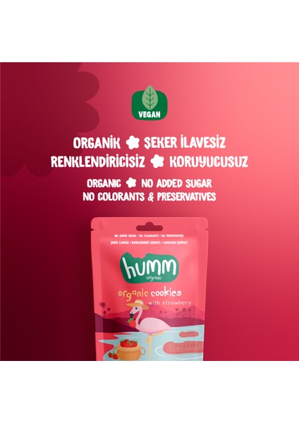 Organik Vegan Çilekli Kurabiye - 55G fiyatları
