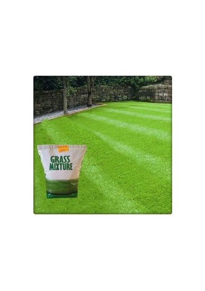 6 Farklı Çim Tohumu Karışımı(Galaxy) Grassmixture (5 Kg) fiyatları