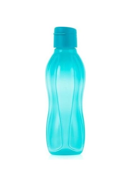 Eko Şişe 500 ml