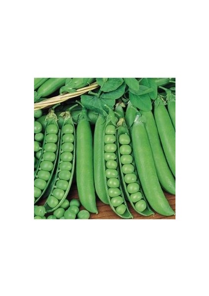 Araka Bezelye Tohumu (20 Adet Tohum)