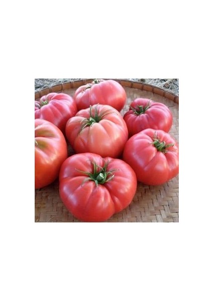 Farmlife Mis Kokulu Yayla Domatesi Tohumu fiyatları