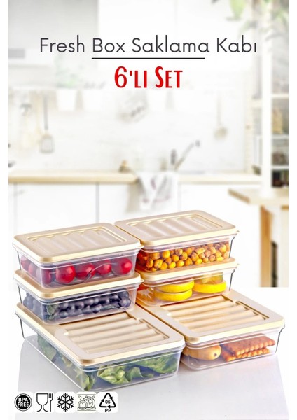 6'lı Set Freshbox Mikrodalga ve Difrize Uygun Saklama Kabı Set 2 - X2 1,2 Lt / X4 0,6 Lt Krem
