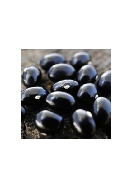 Siyah Fasulye Tohumu (20 Adet Tohum)