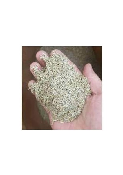 Çim Tohumu Ithal 3lü Karışım Özel Çim Tohumu 1kg