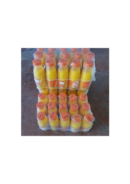 Sıkma Portakal Suyu 330 ml. Dondurulmuş Portakal Suyu modelleri