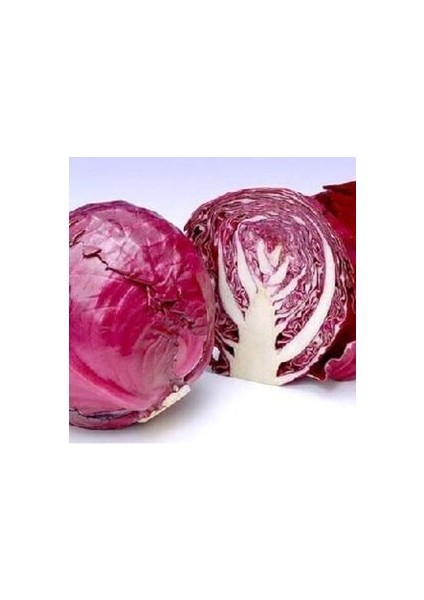 Kırmızı Lahana Tohumu (25 Adet Tohum)