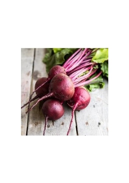 Şalgam Turpu Tohumu (30 Adet Tohum)