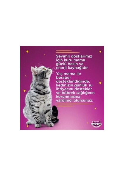 Dreamıes Tavuklu Kedı Odulu Maması 6lı fırsatları