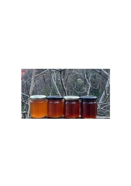 Çörekotu Balı 250GR/ Çiçek Balı 250GR/ Dağlı Bal 250GR/ÇAM Balı 250GR Toplam Net Ağırlık 1000GR