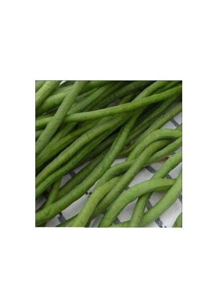 Kırmızı Yatık Börülce Tohumu (20 Adet Tohum)