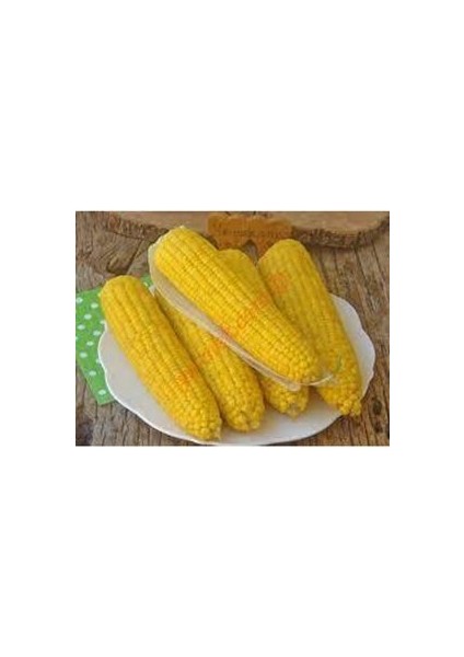 100 Adet Tohum Eko Paket Süt Mısırsüt Mısır Tohumu Darı Tohumu Mısır Tohumu fırsatları