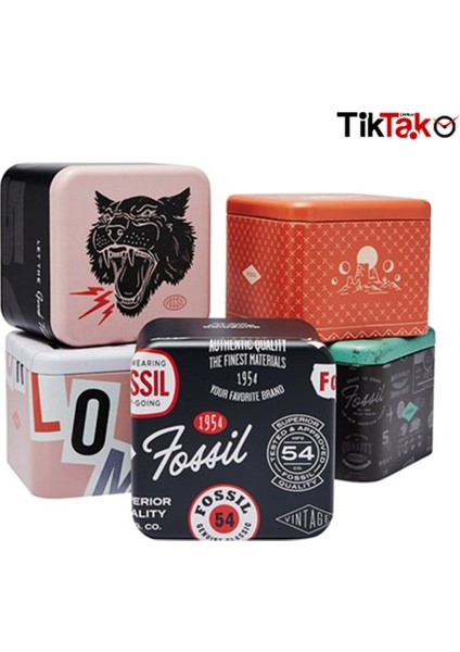 FES5108 Kadın Kol Saati