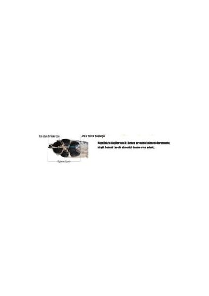 Silikon Köpek Ayakkabısı -Pembe