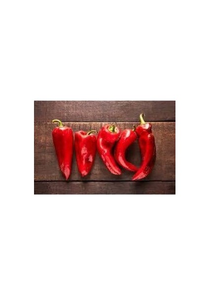 20 Adet Tohum Kırmızı Kapya Biber Tohumu Etli Pat Biber Kebaplık Biber Sürpriz Hediye Tohumludur modelleri