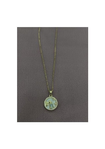 Çelik Mineli Kova Burcu Kolyesi indirimleri