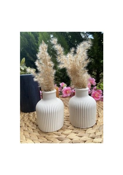 Pampas Vazosu, Iskandinav Dekoratif Beton Vazo Biblo 10 cm Çok Şık 2 Li Takım