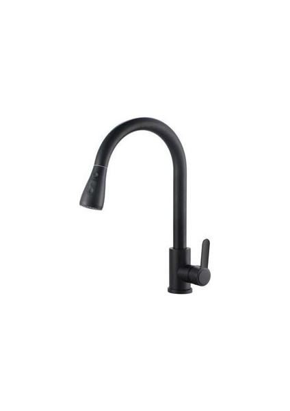 Fleko Siyah Kuğu Spiral Eviye Batarya KS10S01C