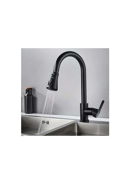 Fleko Siyah Kuğu Spiral Eviye Batarya KS10S01C