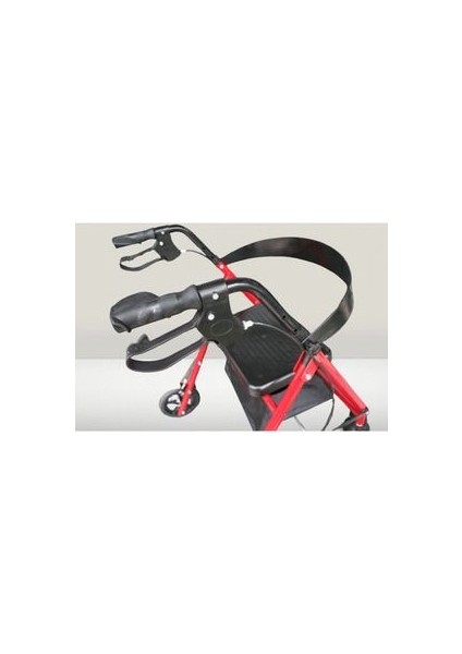 P580Y Ekonomik Rollatör modelleri