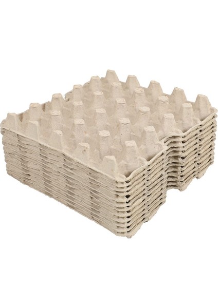 15 Lbs Naturelrenk Yumurta Viyolü (100 Adet)