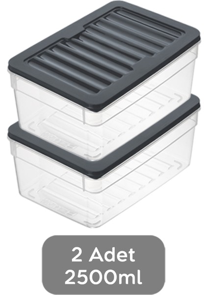 2'li Derin Buzdolabı Organizer Set Düzenleyici Saklama Kabı Mikrodalga Difriz Kabı 2500ML Antrasit