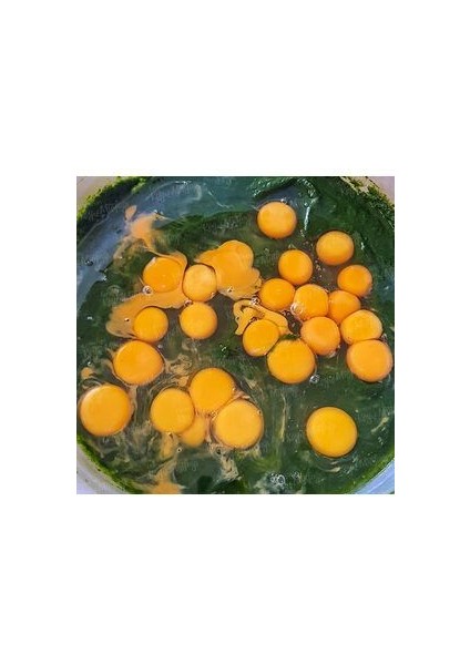 Ispanaklı Erişte - Yumurtalı Sebzeli Katkısız Erişte 500G fırsatları