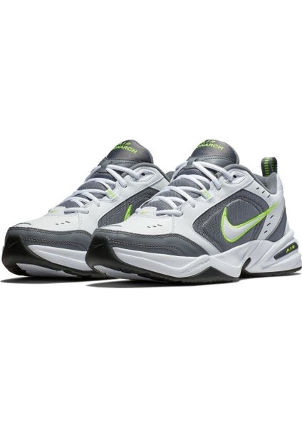 Air Monarch Iv Erkek Ayakkabı 415445-100